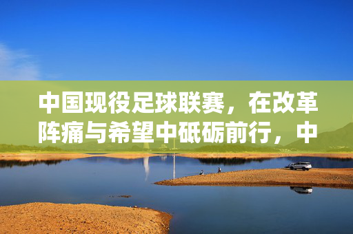 中国现役足球联赛，在改革阵痛与希望中砥砺前行，中国足球联赛，在改革阵痛与希望中砥砺前行