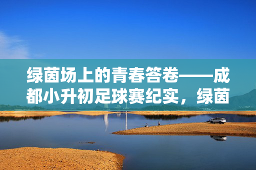 绿茵场上的青春答卷——成都小升初足球赛纪实，绿茵场上的青春答卷——成都小升初足球赛纪实