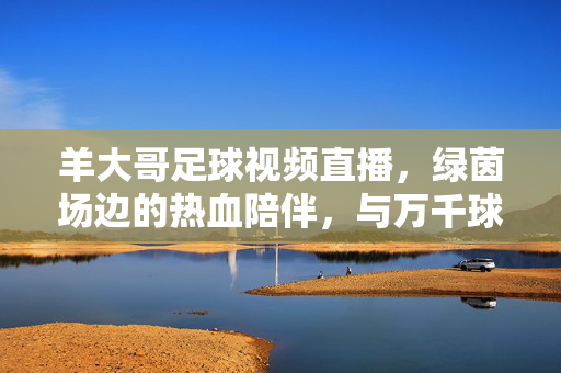 羊大哥足球视频直播,绿茵场边的热血陪伴,与万千球迷共燃激情,羊大哥足球视频直播,绿茵场热血陪伴,万千球迷共燃激情