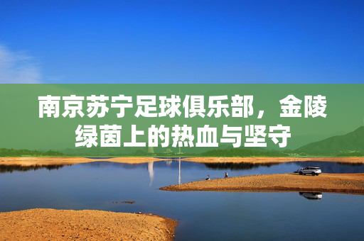 南京苏宁足球俱乐部，金陵绿茵上的热血与坚守