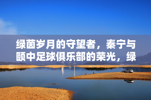 绿茵岁月的守望者，秦宁与颐中足球俱乐部的荣光，绿茵守望者秦宁与颐中足球的荣光岁月