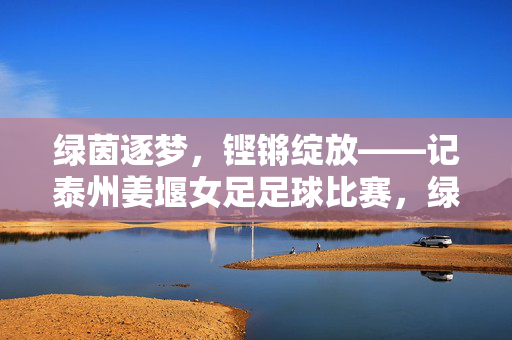 绿茵逐梦，铿锵绽放——记泰州姜堰女足足球比赛，绿茵逐梦，铿锵绽放——泰州姜堰女足赛