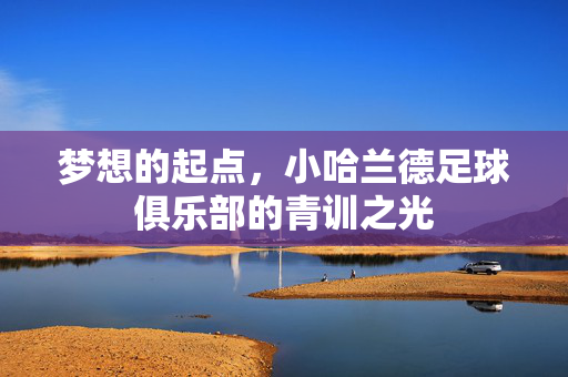 梦想的起点，小哈兰德足球俱乐部的青训之光