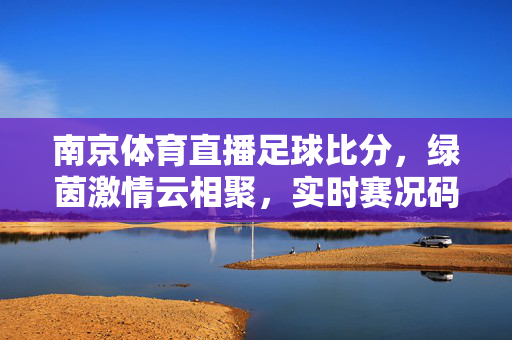南京体育直播足球比分，绿茵激情云相聚，实时赛况码上知，南京足球比分实时云播，绿茵激情赛况码上知