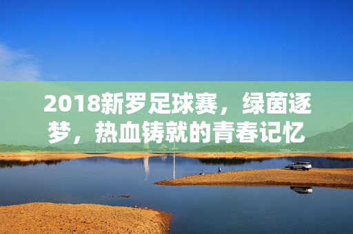 2018新罗足球赛,绿茵逐梦,热血铸就的青春记忆