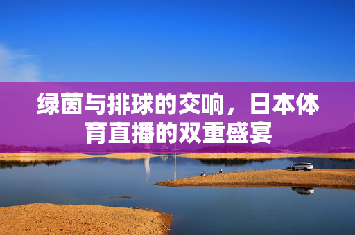 绿茵与排球的交响，日本体育直播的双重盛宴