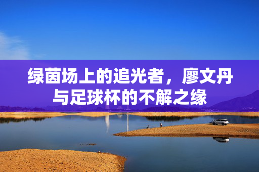 绿茵场上的追光者，廖文丹与足球杯的不解之缘