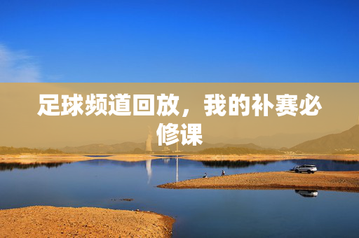 足球频道回放,我的补赛必修课