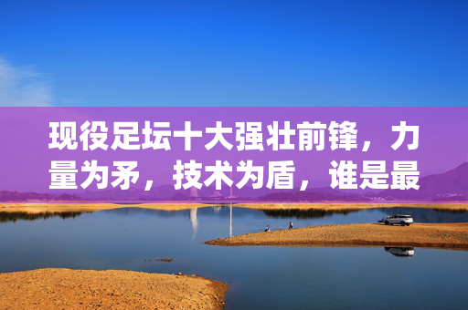 现役足坛十大强壮前锋，力量为矛，技术为盾，谁是最强锋霸？