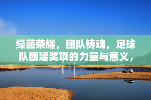 绿茵荣耀,团队铸魂,足球队团建奖项的力量与意义,绿茵荣耀,团队铸魂,足球队团建奖项的力量与意义