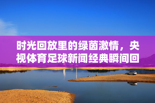 时光回放里的绿茵激情，央视体育足球新闻经典瞬间回顾