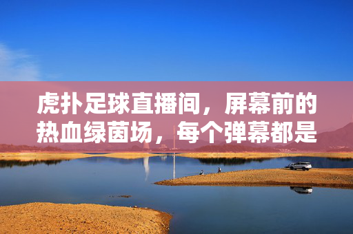虎扑足球直播间，屏幕前的热血绿茵场，每个弹幕都是助威声
