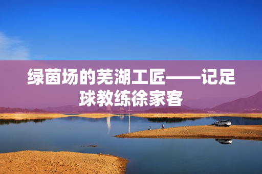 绿茵场的芜湖工匠——记足球教练徐家客