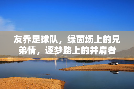 友乔足球队，绿茵场上的兄弟情，逐梦路上的并肩者