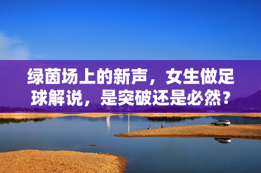 绿茵场上的新声，女生做足球解说，是突破还是必然？绿茵场新声，女生足球解说的突破与必然