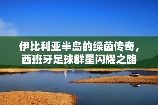 伊比利亚半岛的绿茵传奇，西班牙足球群星闪耀之路