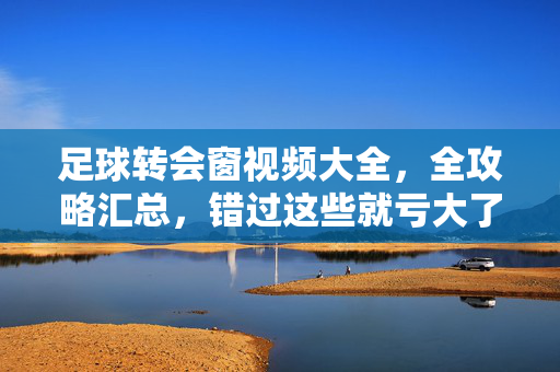 足球转会窗视频大全，全攻略汇总，错过这些就亏大了！