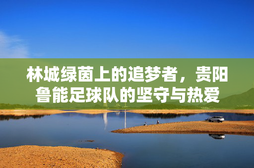 林城绿茵上的追梦者,贵阳鲁能足球队的坚守与热爱