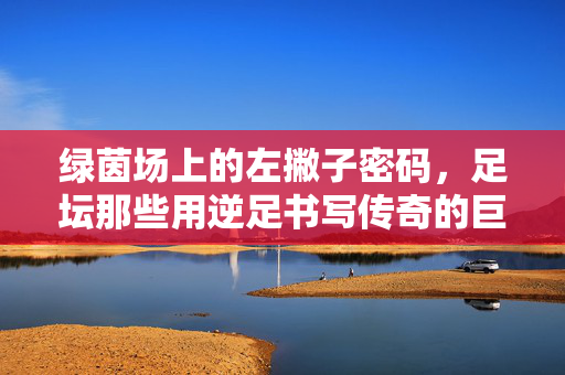 绿茵场上的左撇子密码,足坛那些用逆足书写传奇的巨星,绿茵左撇子,逆足书写的足坛传奇