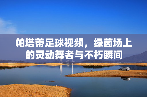 帕塔蒂足球视频，绿茵场上的灵动舞者与不朽瞬间