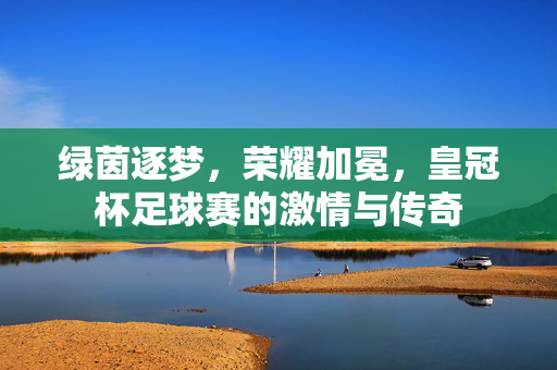 绿茵逐梦，荣耀加冕，皇冠杯足球赛的激情与传奇