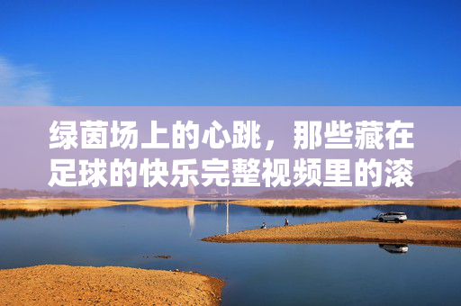 绿茵场上的心跳，那些藏在足球的快乐完整视频里的滚烫瞬间，绿茵心跳，足球滚烫的快乐瞬间