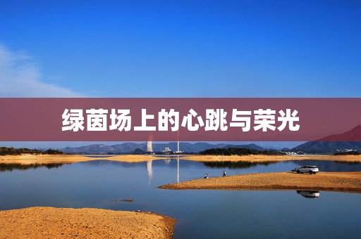 绿茵场上的心跳与荣光