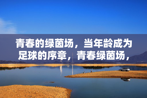青春的绿茵场,当年龄成为足球的序章,青春绿茵场,年龄为足球序章