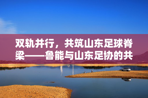 双轨并行，共筑山东足球脊梁——鲁能与山东足协的共生与展望，双轨共生，共筑山东足球脊梁