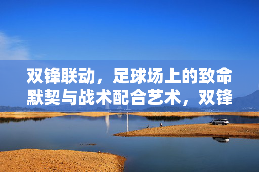 双锋联动,足球场上的致命默契与战术配合艺术,双锋联动,致命默契的战术艺术