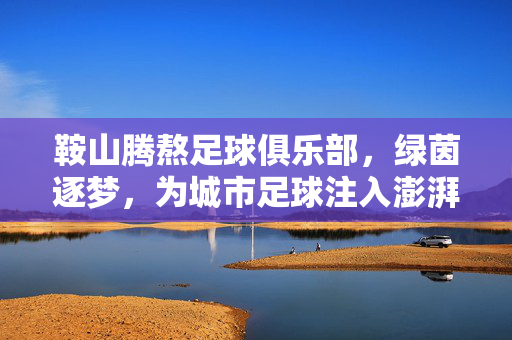 鞍山腾熬足球俱乐部，绿茵逐梦，为城市足球注入澎湃活力