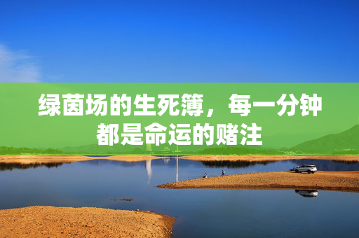 绿茵场的生死簿，每一分钟都是命运的赌注