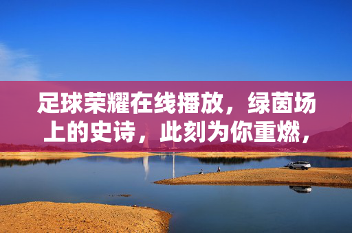 足球荣耀在线播放,绿茵场上的史诗,此刻为你重燃,足球荣耀,绿茵史诗重燃