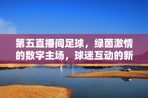 第五直播间足球，绿茵激情的数字主场，球迷互动的新浪潮，第五直播间，绿茵数字主场，球迷互动新浪潮