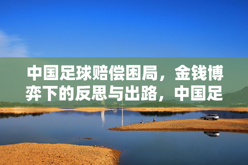 中国足球赔偿困局,金钱博弈下的反思与出路,中国足球赔偿困局,金钱博弈下的反思与出路