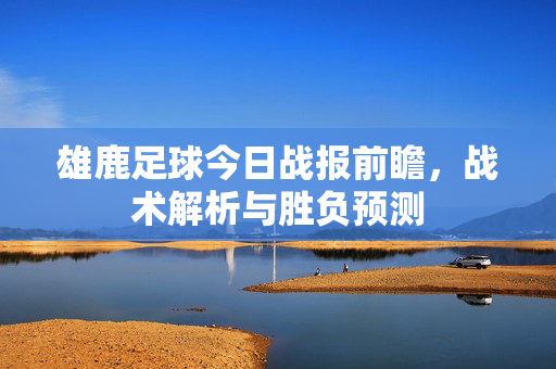 雄鹿足球今日战报前瞻,战术解析与胜负预测