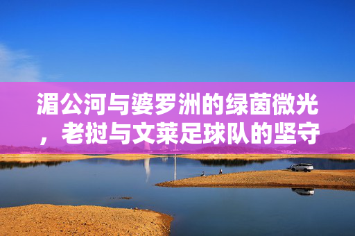 湄公河与婆罗洲的绿茵微光，老挝与文莱足球队的坚守与梦想