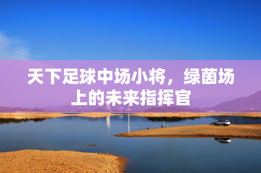 天下足球中场小将,绿茵场上的未来指挥官