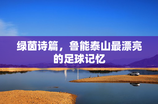 绿茵诗篇，鲁能泰山最漂亮的足球记忆