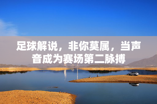 足球解说，非你莫属，当声音成为赛场第二脉搏