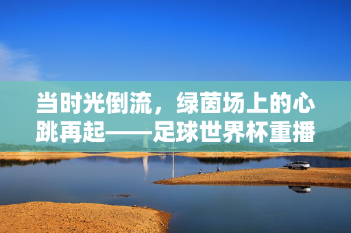 当时光倒流，绿茵场上的心跳再起——足球世界杯重播里的记忆与新生