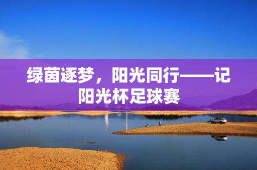 绿茵逐梦，阳光同行——记阳光杯足球赛
