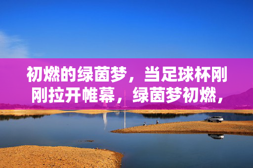 初燃的绿茵梦，当足球杯刚刚拉开帷幕，绿茵梦初燃，足球杯启幕