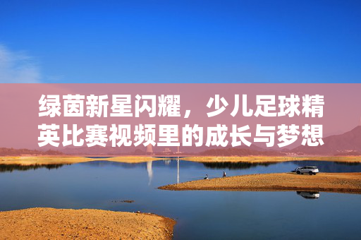 绿茵新星闪耀，少儿足球精英比赛视频里的成长与梦想，绿茵新星闪耀，足球赛场上的成长与梦想