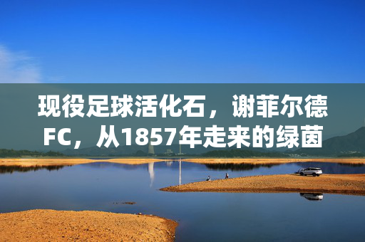 现役足球活化石，谢菲尔德FC，从1857年走来的绿茵传奇，谢菲尔德FC，从1857年走来的现役足球活化石