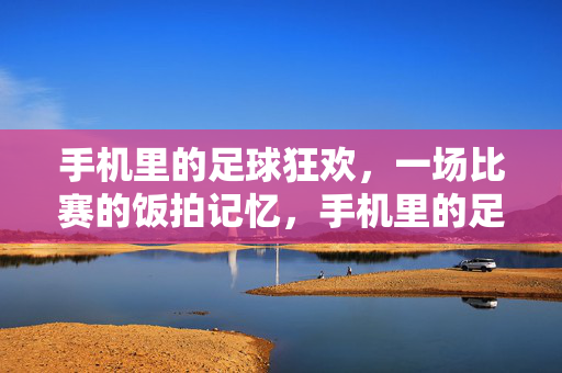手机里的足球狂欢,一场比赛的饭拍记忆,手机里的足球狂欢,饭拍记忆