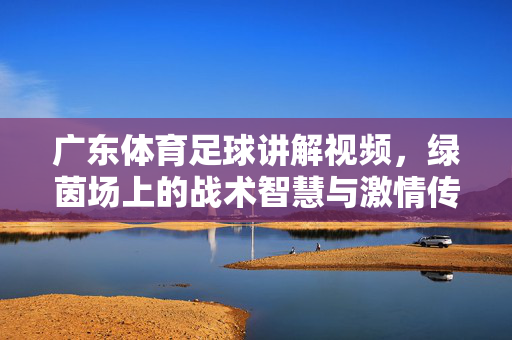 广东体育足球讲解视频，绿茵场上的战术智慧与激情传递