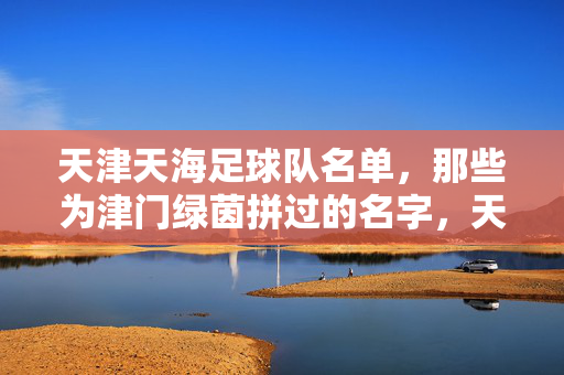 天津天海足球队名单，那些为津门绿茵拼过的名字，天津天海足球队，津门绿茵拼搏者名单