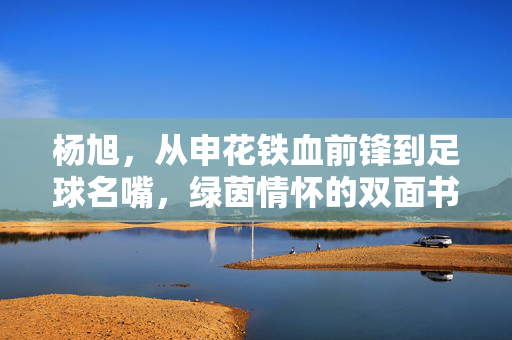 杨旭,从申花铁血前锋到足球名嘴,绿茵情怀的双面书写,杨旭,从铁血前锋到足球名嘴的绿茵双面书
