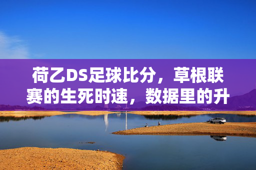 荷乙DS足球比分，草根联赛的生死时速，数据里的升降级密码